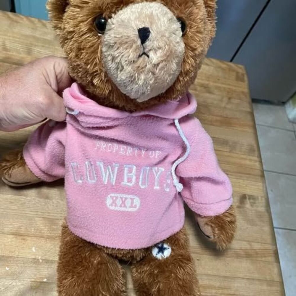 Good Stuff Dallas Cowboys Plush Teddy Bear with Pink Hoodie